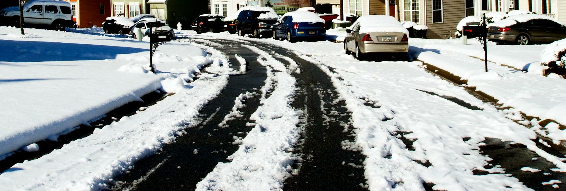 pexels-frank-taylor-254371-774485 | Autoselect