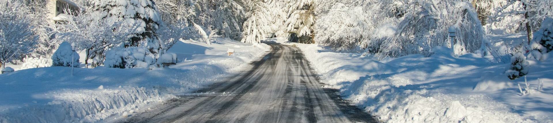 pexels-mnannapaneni-6175232 | Autoselect